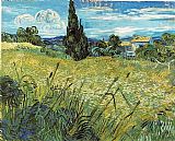 Vincent van Gogh Green Wheat Field with Cypress painting